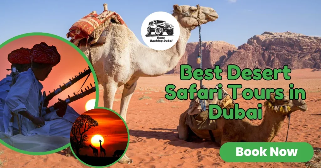 Compare the Best Desert Safari Tours in Dubai