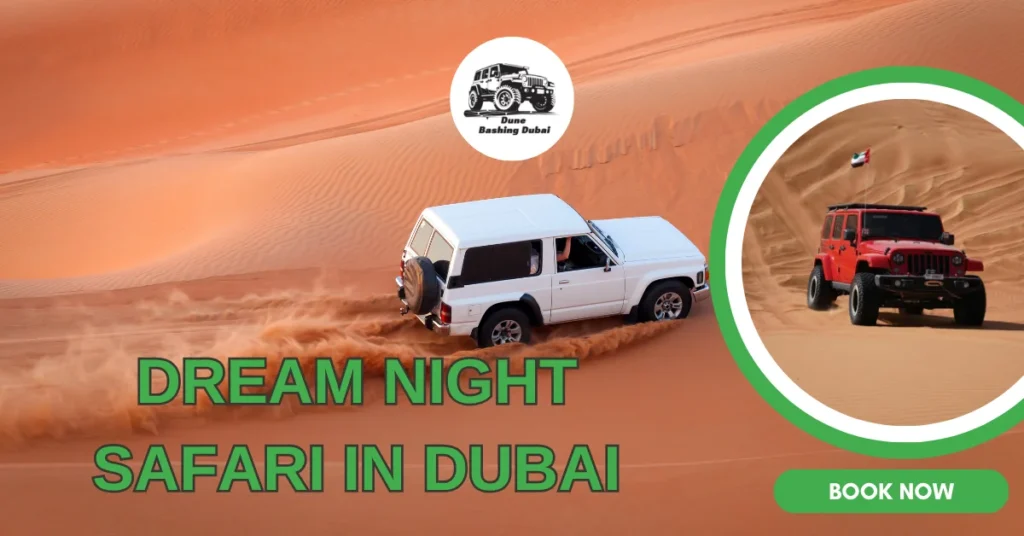 Dream Night Safari in Dubai
