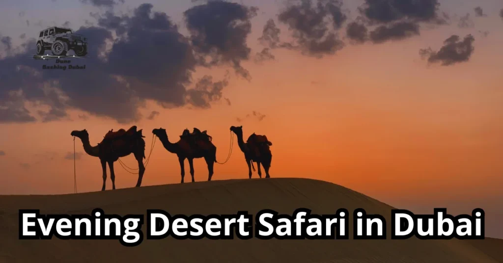 Is an Evening Desert Safari in Dubai Worth It?