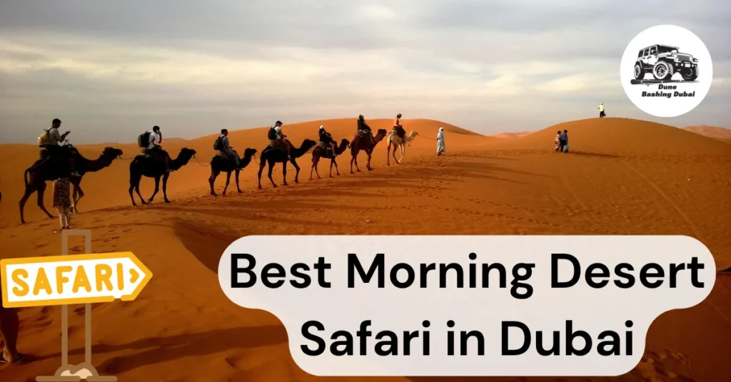 Best Morning Desert Safari in Dubai: