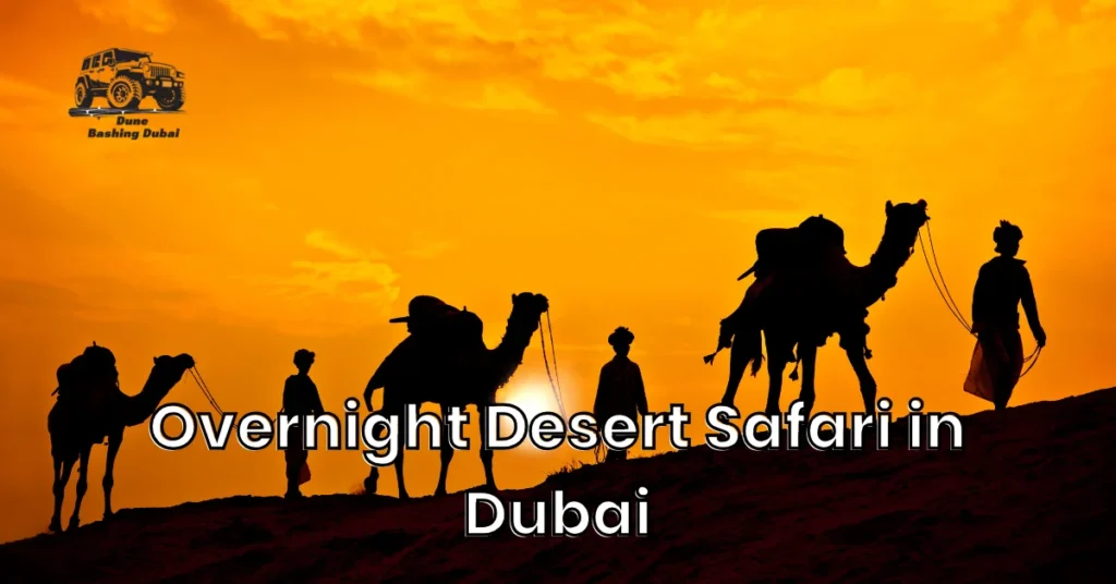 Top 7 Reasons to Book an Overnight Desert Safari in Dubai