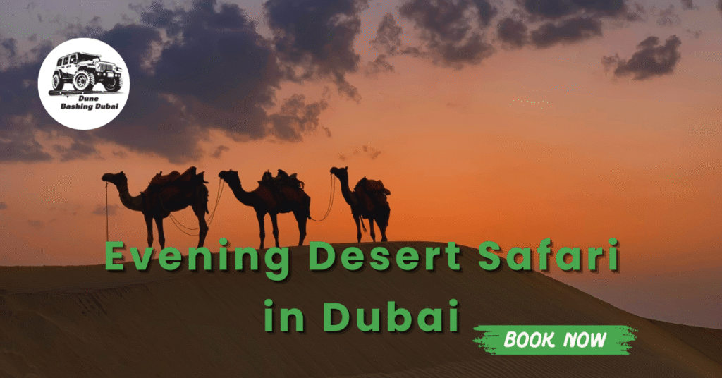 best-evening-desert-safari-in-dubai