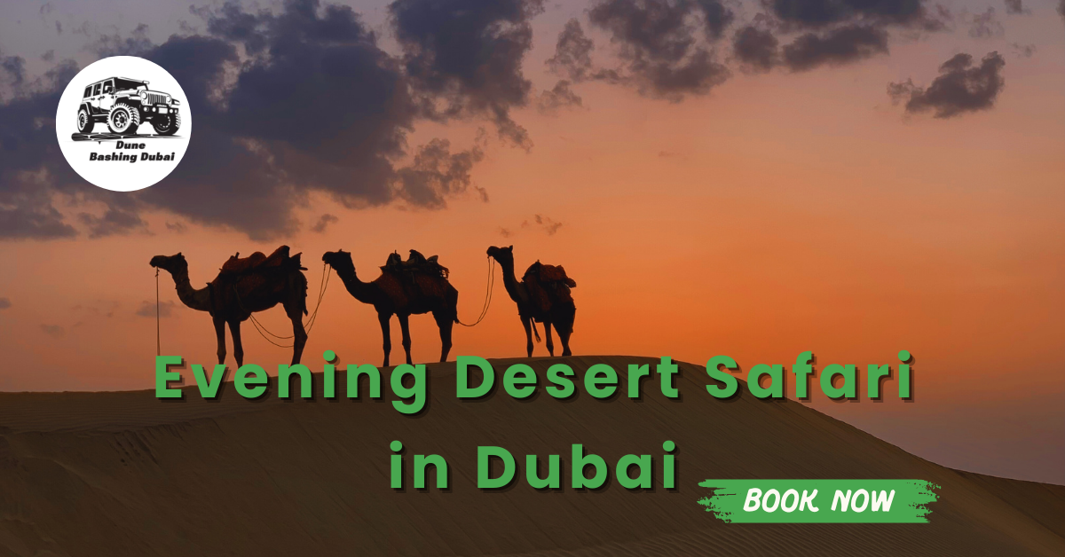 best-evening-desert-safari-in-dubai