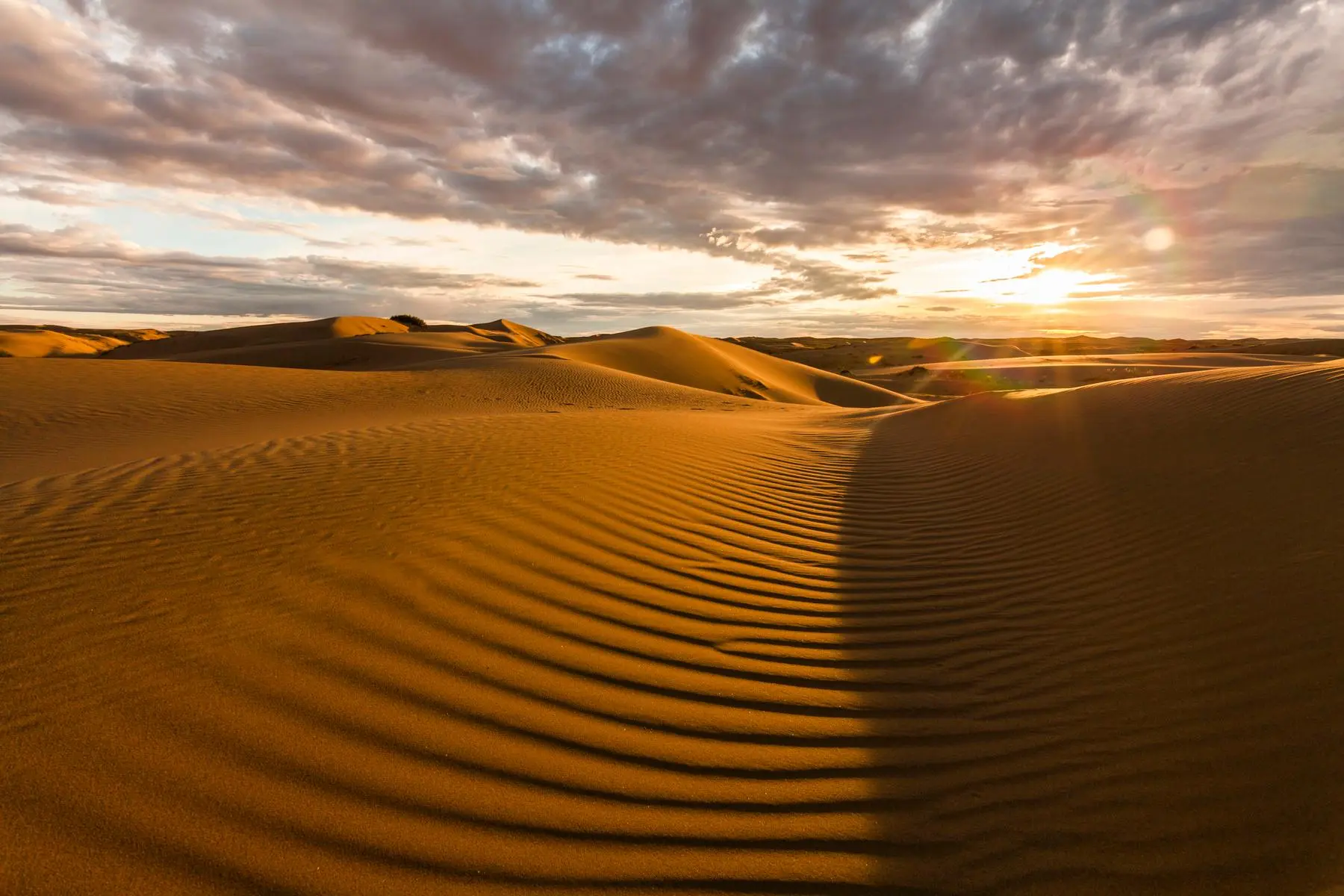 Morning Desert Safari In Dubai | Dune Bashing Safari Services