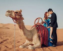 private camel riding dubai