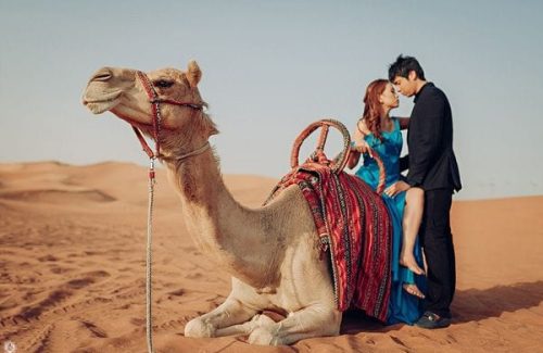 private camel riding dubai