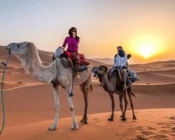 camel ride vip safari