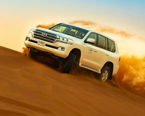 vip desert safari dubai