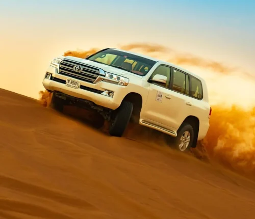 vip desert safari dubai