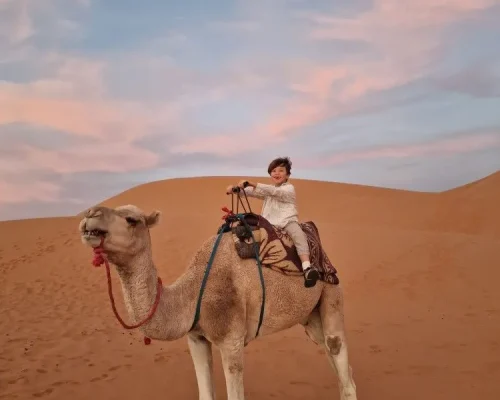 camel ride with kids