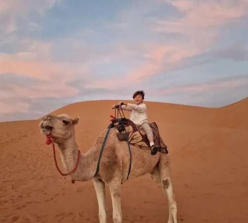 camel ride with kids
