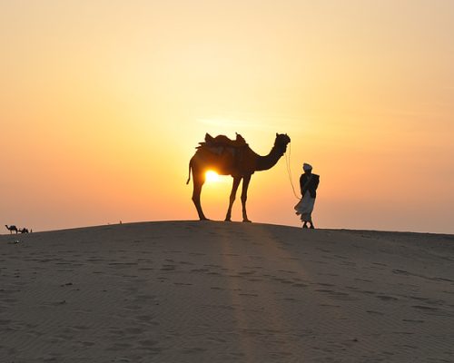 camel ride Dubai